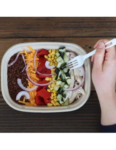 Eccocane 34 oz Rectangular To-Go Box 300/Case