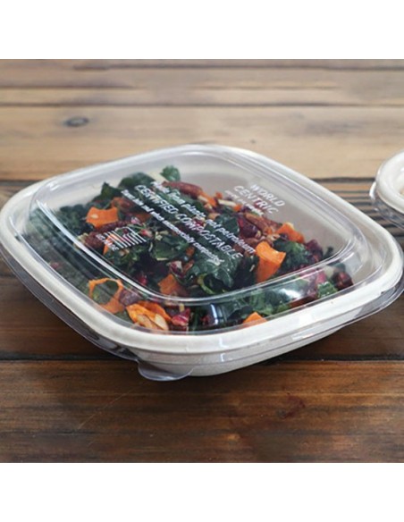 Eccocane PLA Dome Lids  34 oz  300/Case