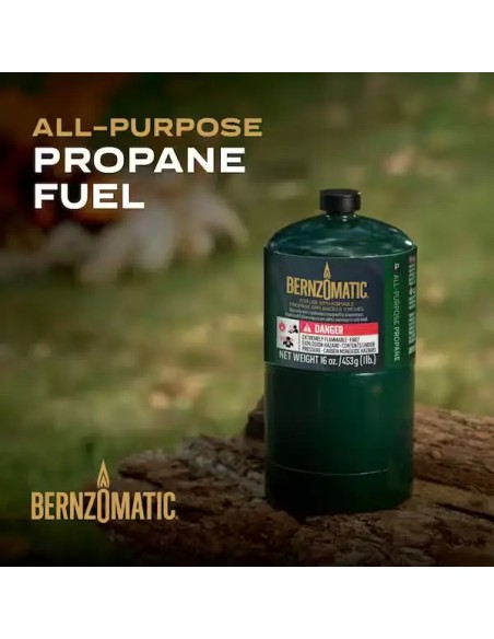1 lb. All-Purpose Propane Gas Cylinder (2-Pack)16oz