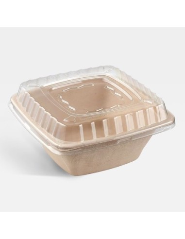 16oz Square Sugarcane Bowl 300 / Case