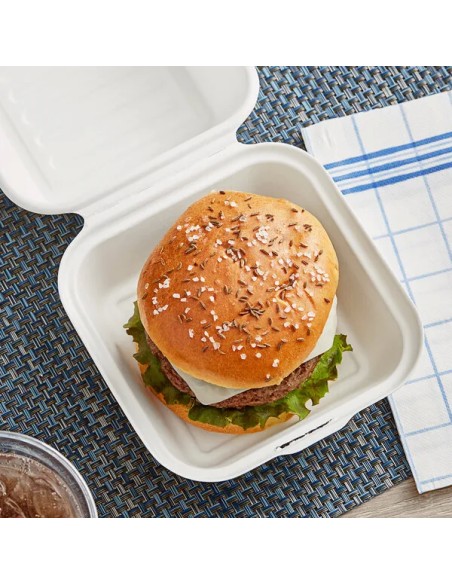 Compostable Sugarcane Take-Out Container 6″ x 6″ x 3″  500/Case