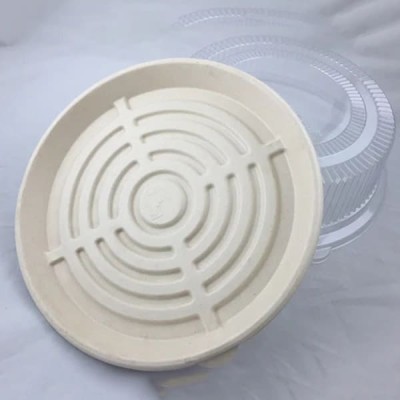 EccoCane 12" Sugarcane Bagasse Round Tray