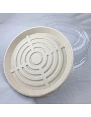 EccoCane 12" Sugarcane Bagasse Round Tray