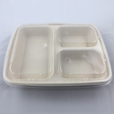 EccoCane 36oz 3-Compartment Sugarcane Bagasse Container
