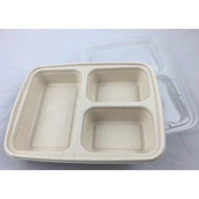 EccoCane 36oz 3-Compartment Sugarcane Bagasse Container 2