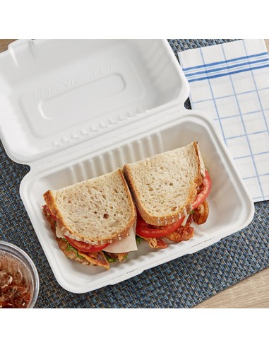 9" x 6" x 3" Compostable Sugarcane / Bagasse 1...